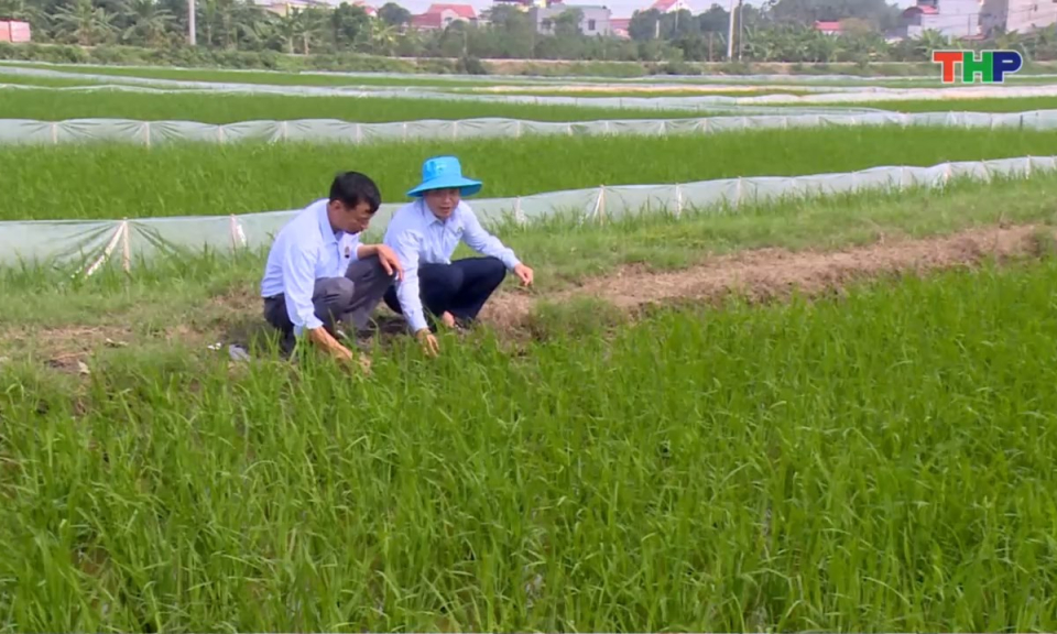 Nhịp sống 24h (19/03/2026)