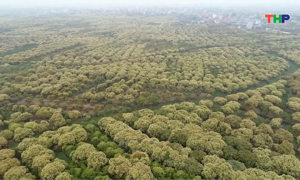 Bản tin thời sự cuối ng&agrave;y (21/03/2026)