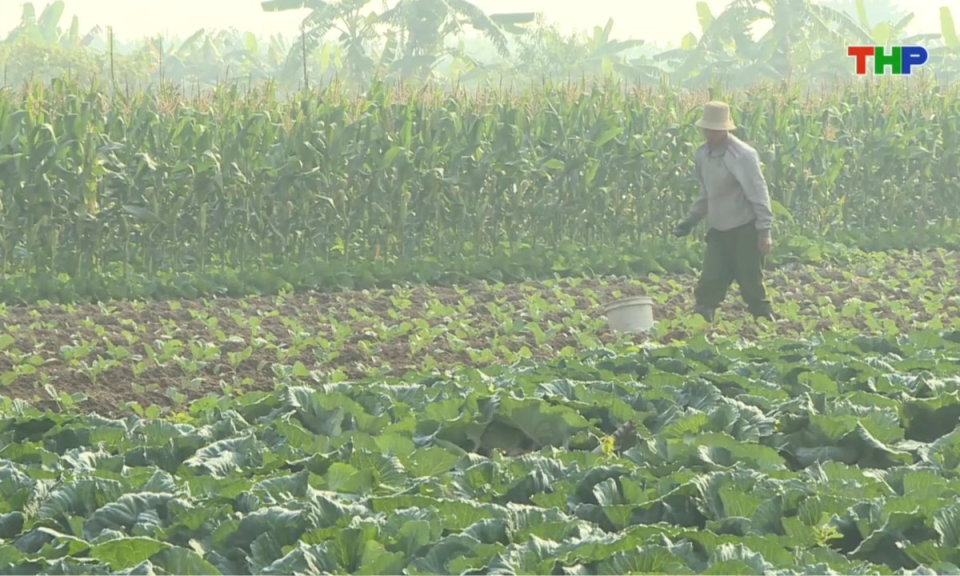 Bản tin thời sự trưa (22/03/2026)