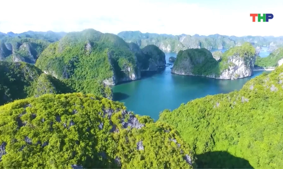 Chuẩn bị khai mạc du lịch C&aacute;t B&agrave; 2026