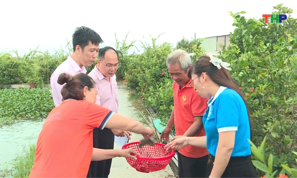 Hỗ trợ hội vi&ecirc;n phụ nữ ph&aacute;t triển kinh tế