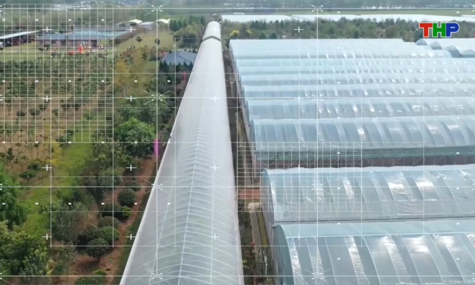 Bản tin thời sự trưa (23/03/2026)