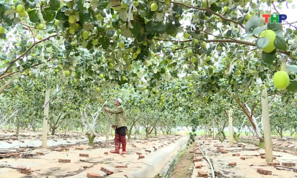 Nhịp sống 24h (23/03/2026)