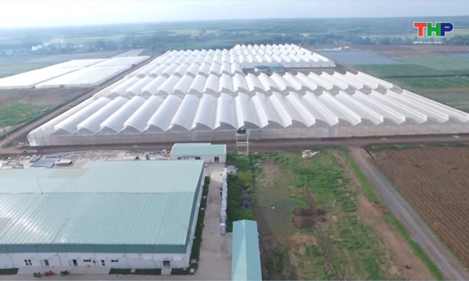 Bản tin tiếng Anh - Hai Phong News (23/03/2026)