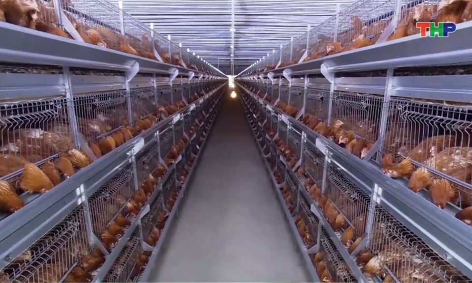 Bản tin tiếng Trung - 海防新闻 (23/03/2026)