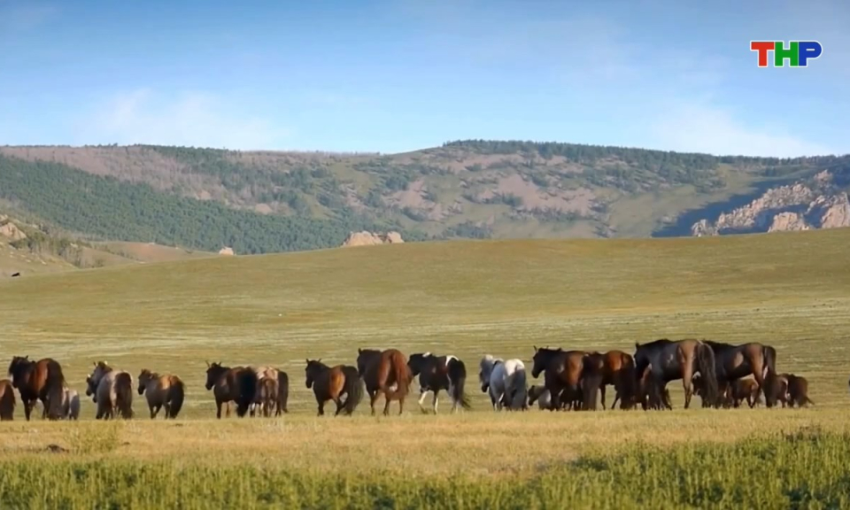 Kh&aacute;m ph&aacute; thế giới: M&ocirc;ng Cổ - V&ugrave;ng đất của chiến m&atilde;