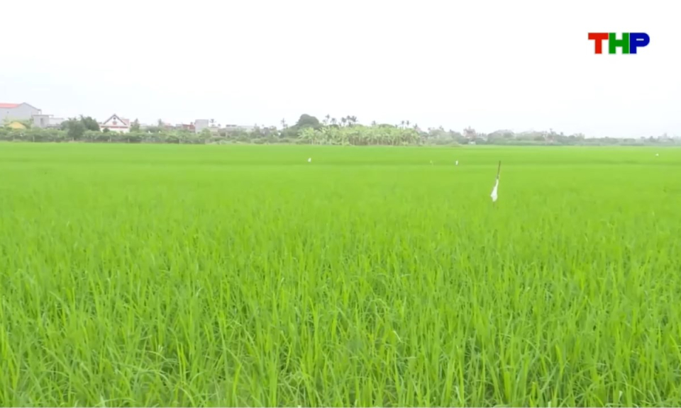 Bản tin thời sự s&aacute;ng (28/03/2026)