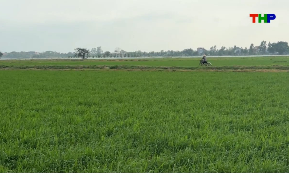 Bản tin thời sự tối (27/03/2026)