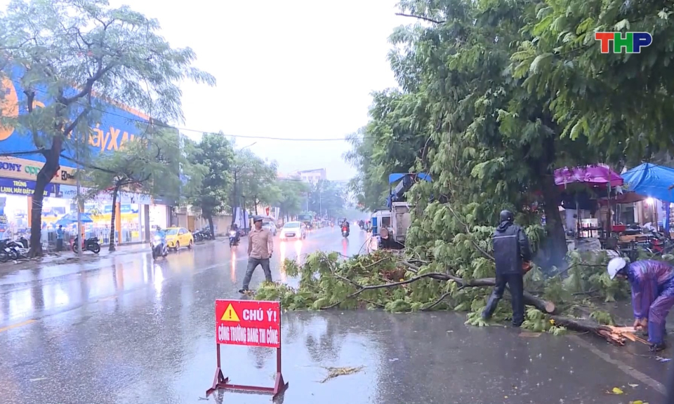 Bảo đảm an to&agrave;n hệ thống c&acirc;y xanh trong m&ugrave;a mưa b&atilde;o