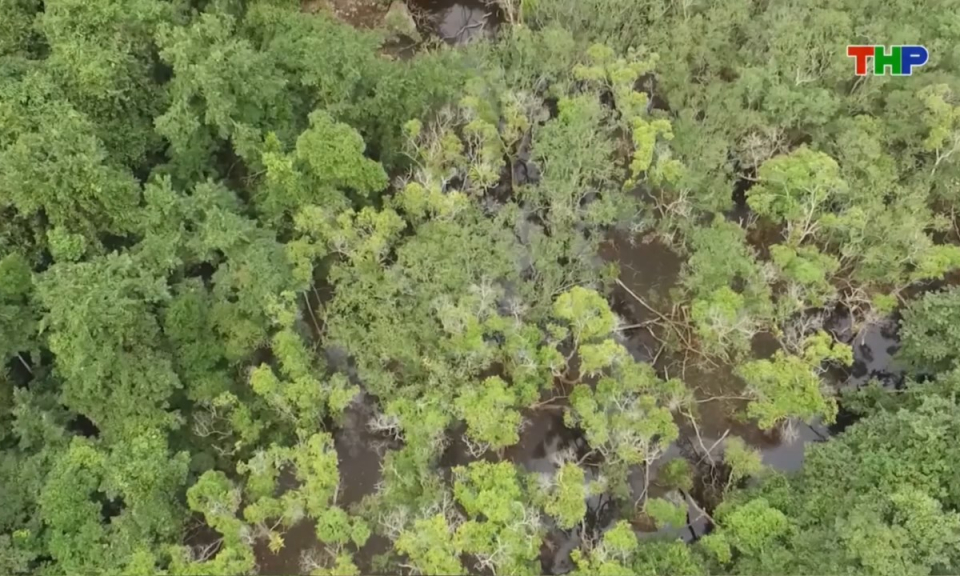 Bản tin thời sự trưa (30/03/2026)