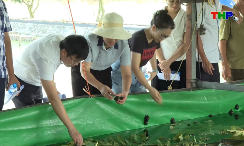 Bản tin thời sự cuối ng&agrave;y (31/03/2026)