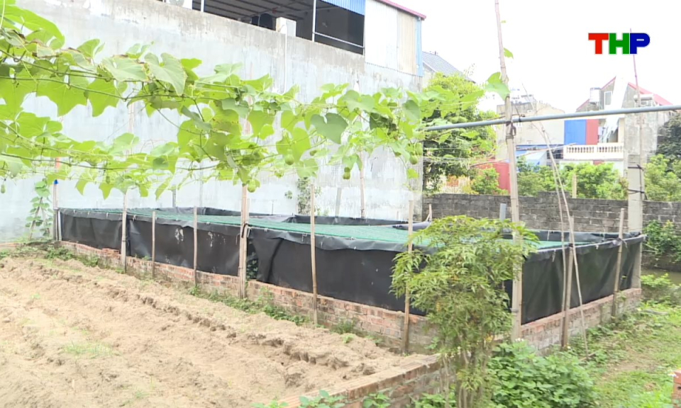 Hộp thư truyền h&igrave;nh: L&agrave;m r&otilde; kiến nghị của người d&acirc;n về x&aacute;c định mức tiền sử dụng đất