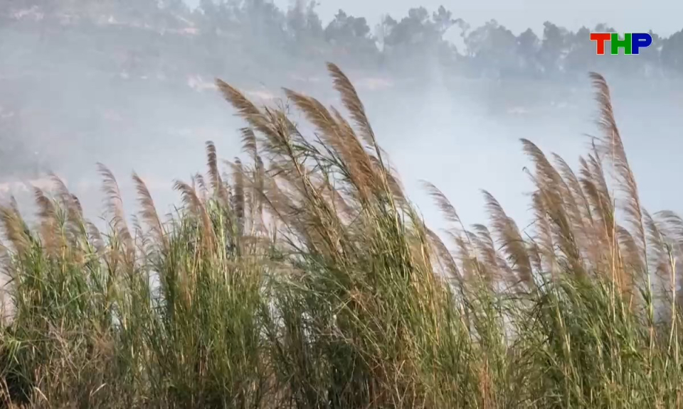 Ph&aacute;p luật v&agrave; cuộc sống: Th&aacute;ch thức trong thực thi Luật Bảo vệ m&ocirc;i trường