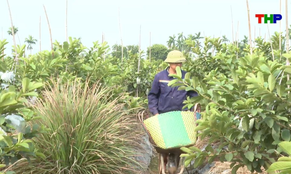 C&acirc;u chuyện của t&ocirc;i: H&agrave;nh tr&igrave;nh xanh từ đồng ruộng