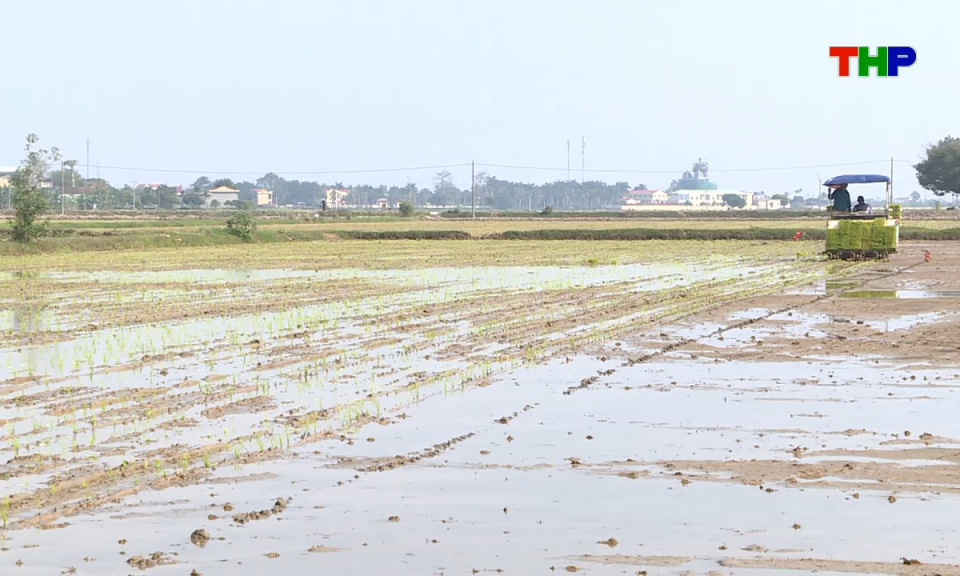 Bản tin tiếng Anh - Hai Phong News (30/03/2026)