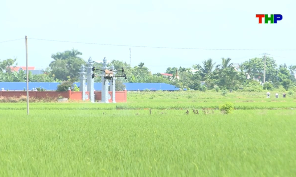 Bản tin tiếng Trung - 海防新闻 (30/03/2026)