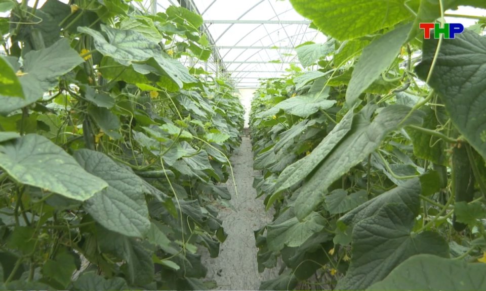 Nhịp sống 24h (01/04/2026)