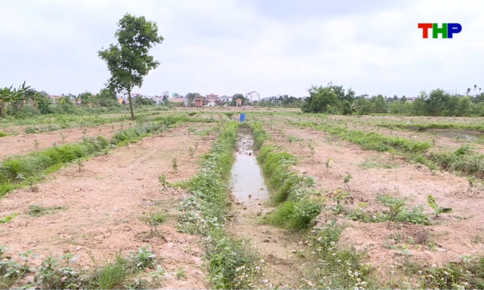 Bản tin thời sự s&aacute;ng (03/04/2026)