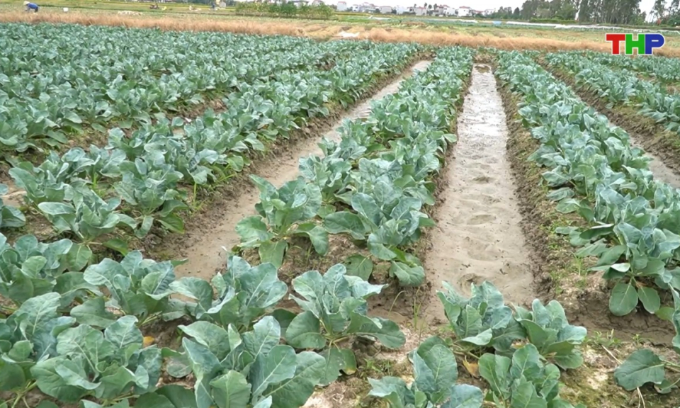 Bản tin thời sự 17h00 (04/04/2026)