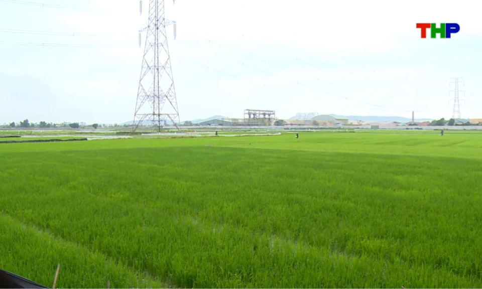 10 ph&uacute;t v&agrave;ng (04/04/2026)