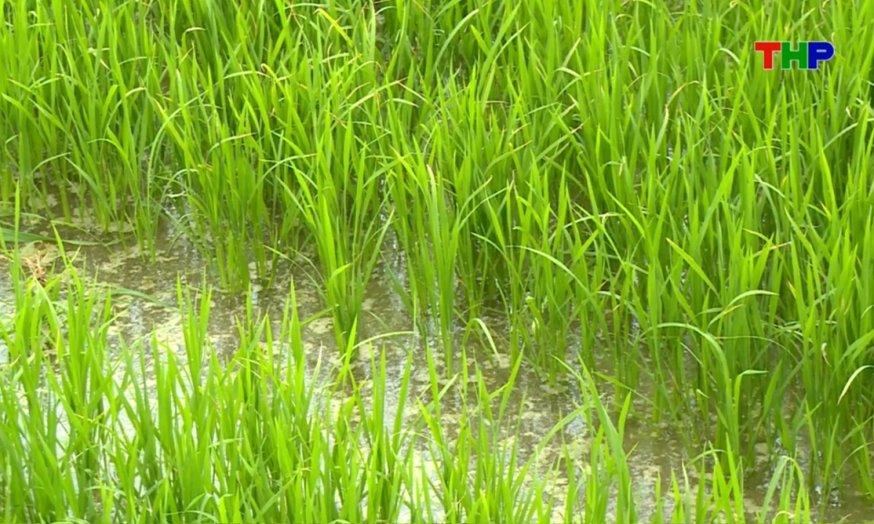 Nhịp sống 24h (04/04/2026)