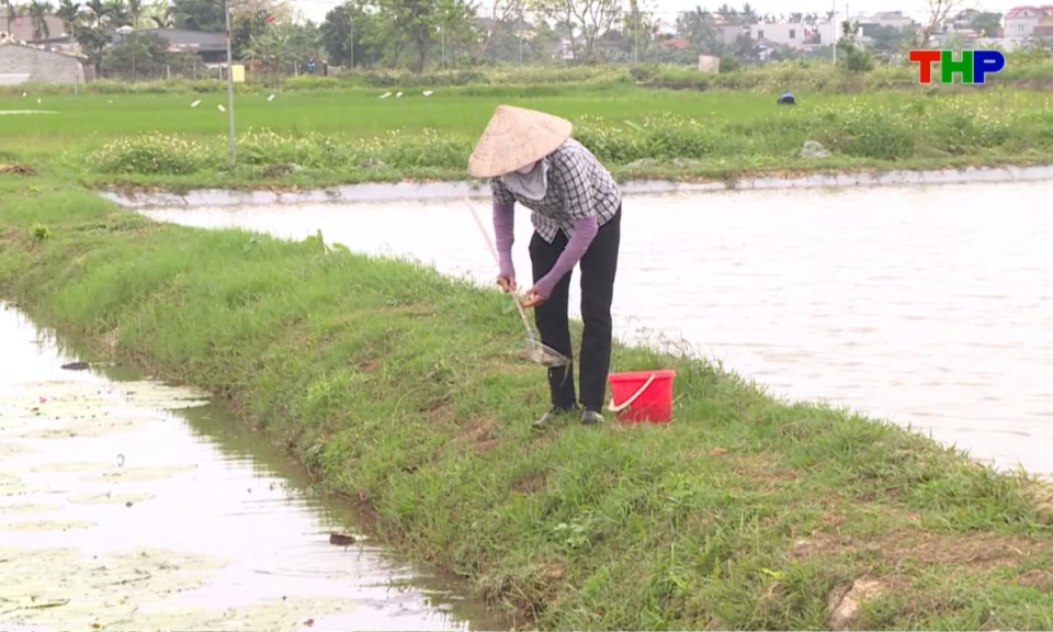 Nhịp sống 24h (07/04/2026)