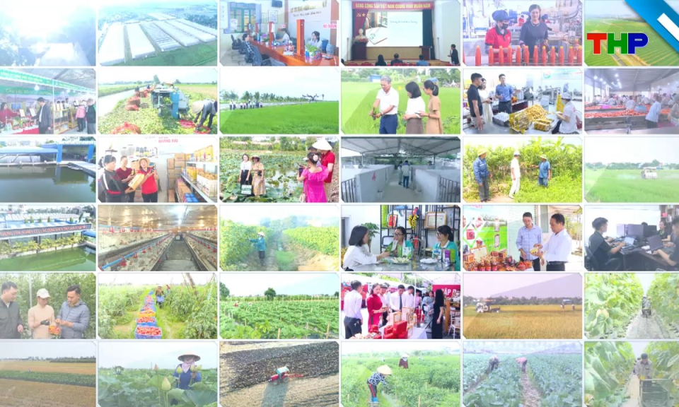 Ch&iacute;nh s&aacute;ch ph&aacute;p luật: Nghị quyết 80 - Động lực mới cho hợp t&aacute;c x&atilde; ph&aacute;t triển