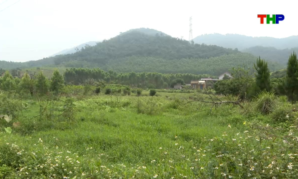 Bản tin tiếng Trung - 海防新闻 (07/04/2026)