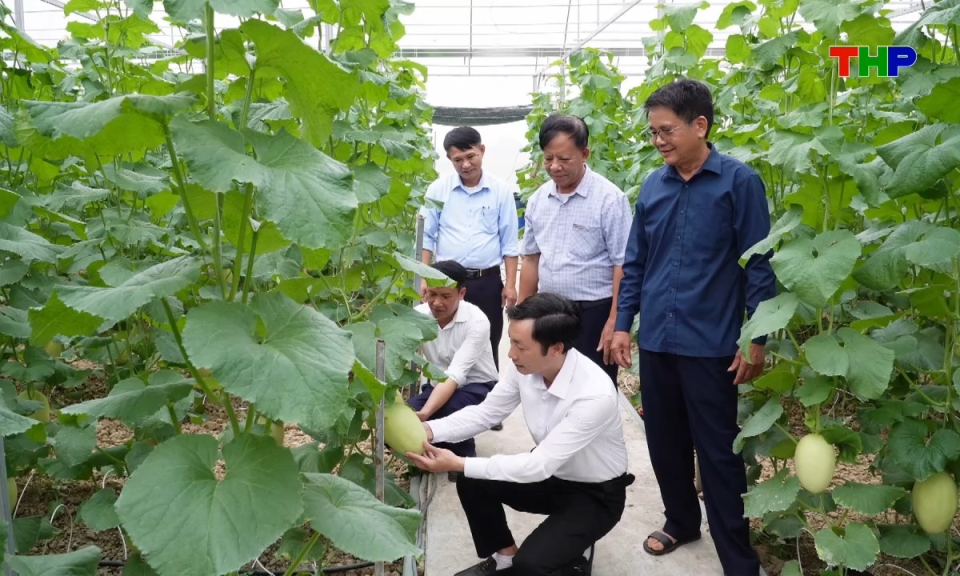 N&ocirc;ng th&ocirc;n mới Hải Ph&ograve;ng: Đổi mới tư duy sản xuất, n&acirc;ng cao gi&aacute; trị n&ocirc;ng sản