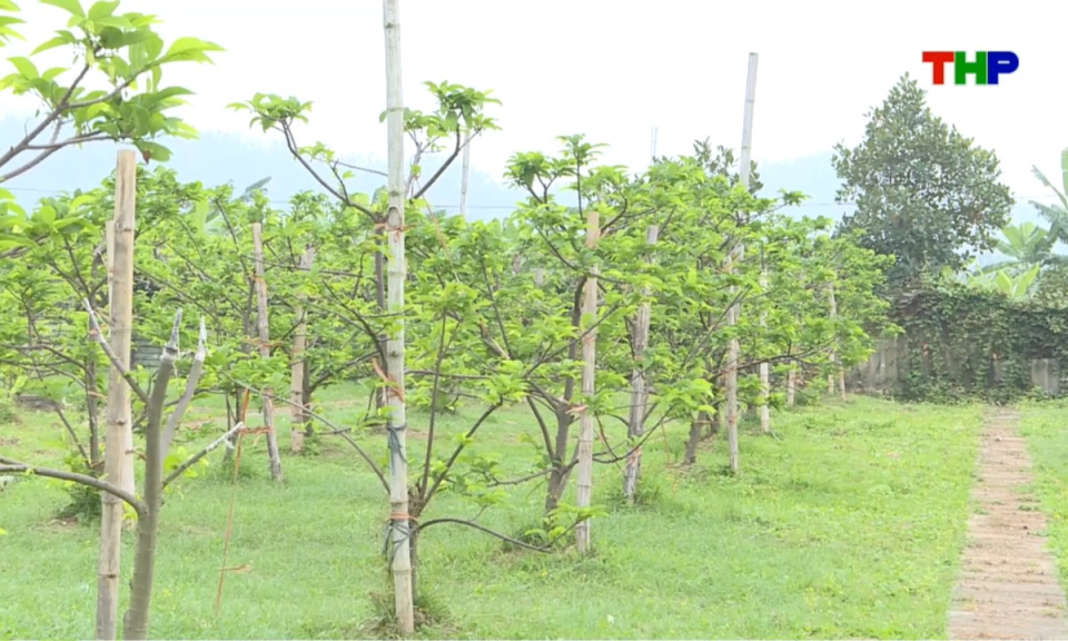 10 ph&uacute;t v&agrave;ng (08/04/2026)