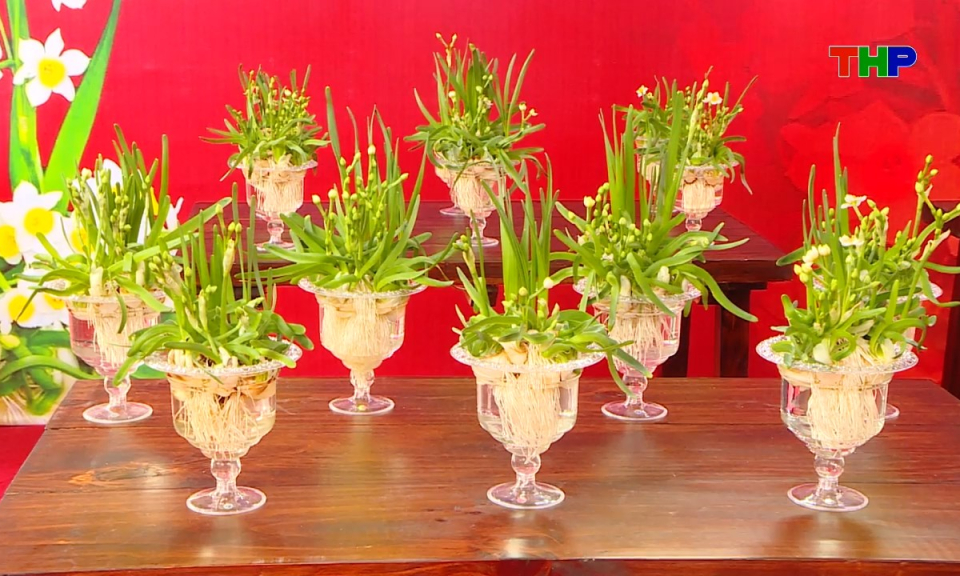 Bản tin tiếng Trung - 海防新闻 (09/04/2026)