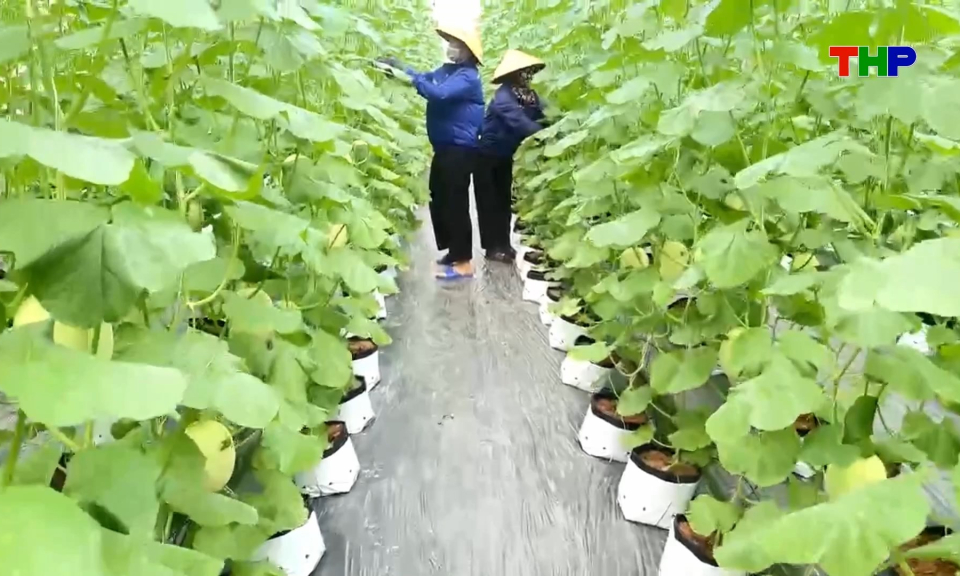 Chuyển đổi số n&acirc;ng cao hiệu quả ph&aacute;t triển n&ocirc;ng nghiệp xanh