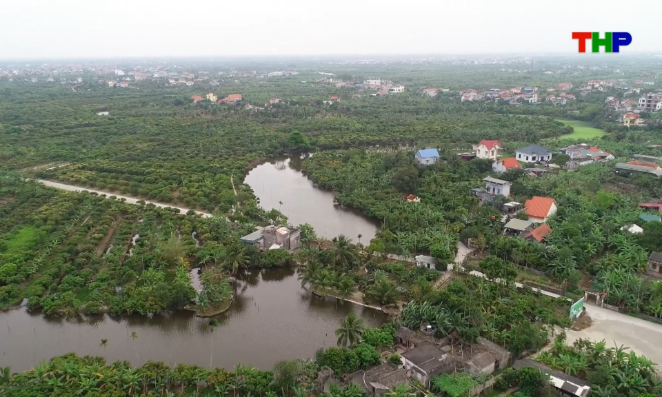 Nhịp sống 24h (10/04/2026)