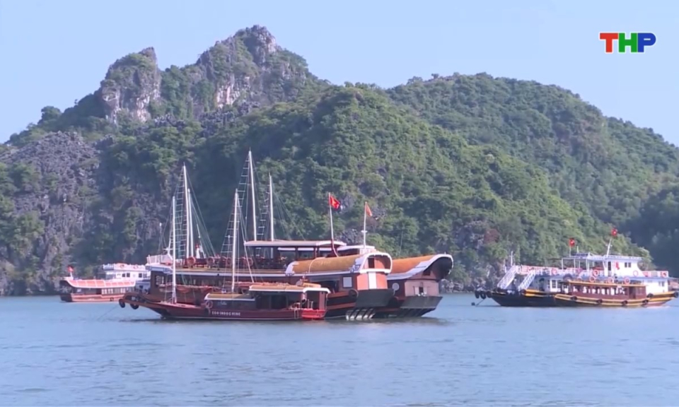 Bản tin thời sự trưa (11/04/2026)