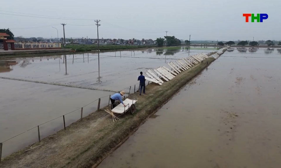 10 ph&uacute;t v&agrave;ng (11/04/2026)