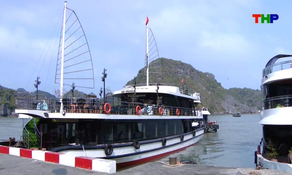 Bản tin thời sự tối (11/04/2026)