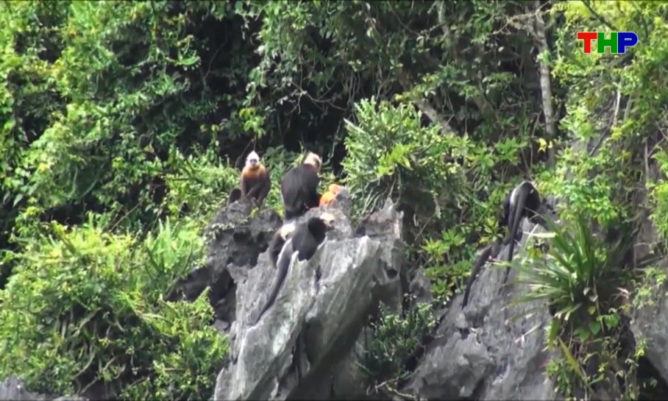 Bản tin thời sự cuối ng&agrave;y (12/04/2026)