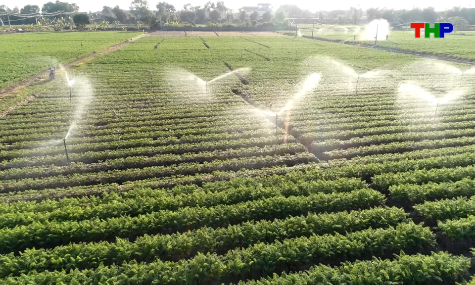 Bản tin tiếng Anh - Hai Phong News (12/04/2026)