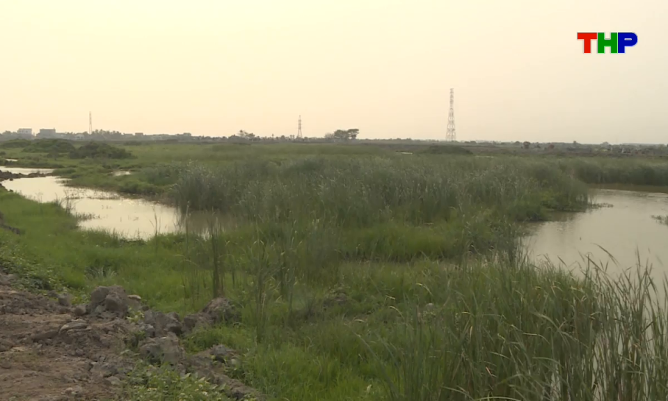 Bản tin tiếng Trung - 海防新闻 (12/04/2026)