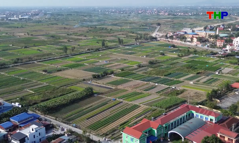 Nhịp sống 24h (12/04/2026)