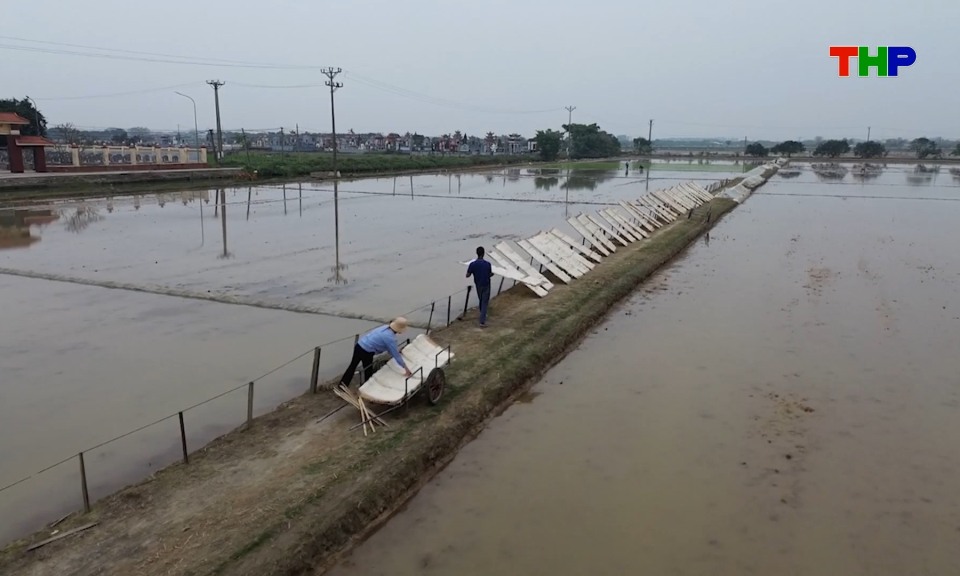 G&igrave;n giữ, ph&aacute;t triển nghề l&agrave;m b&aacute;nh đa truyền thống 