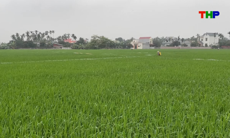 Bản tin thời sự s&aacute;ng (14/04/2026)