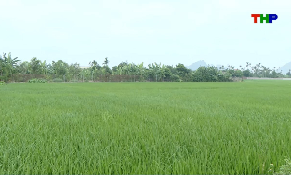 10 ph&uacute;t v&agrave;ng (14/04/2026)