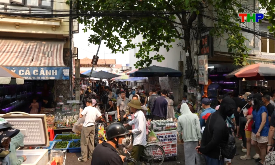 Chạm Hải Ph&ograve;ng: T&iacute;u t&iacute;t chợ H&agrave;ng