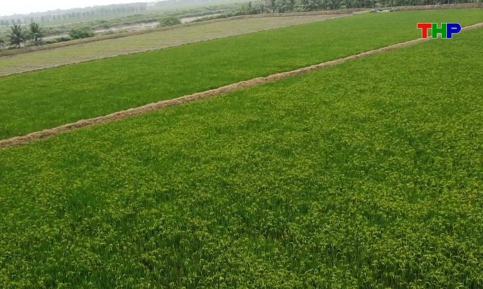 Bản tin thời sự tối (14/04/2026)