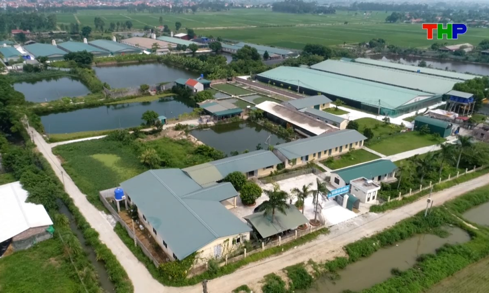 Đồng h&agrave;nh c&ugrave;ng nh&agrave; n&ocirc;ng: Ứng dụng c&ocirc;ng nghệ giảm thải trong chăn nu&ocirc;i