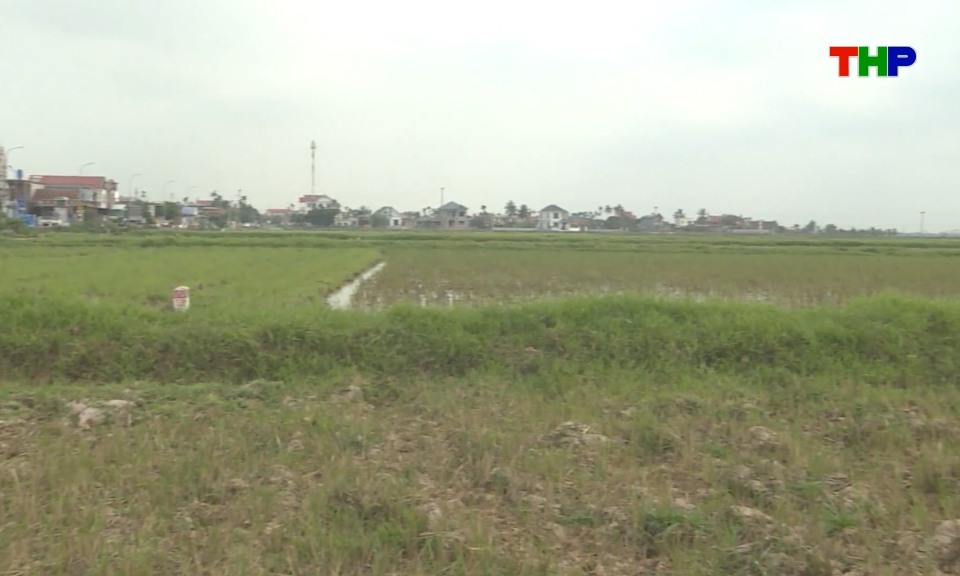 Chuẩn bị lễ khởi c&ocirc;ng Dự &aacute;n đầu tư khu c&ocirc;ng nghiệp Trấn Dương - H&ograve;a B&igrave;nh