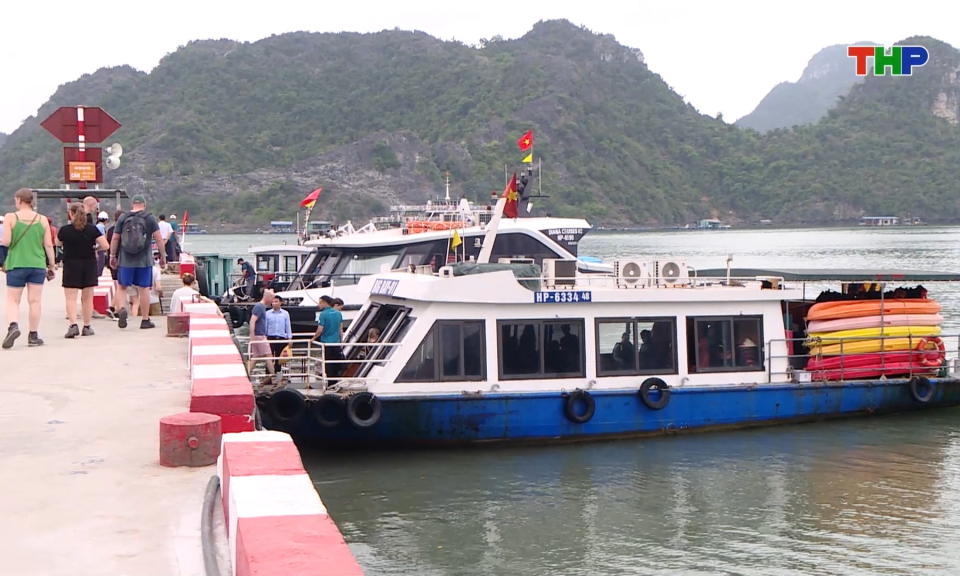 Khai th&aacute;c hiệu quả tiềm năng du lịch đặc khu C&aacute;t Hải 