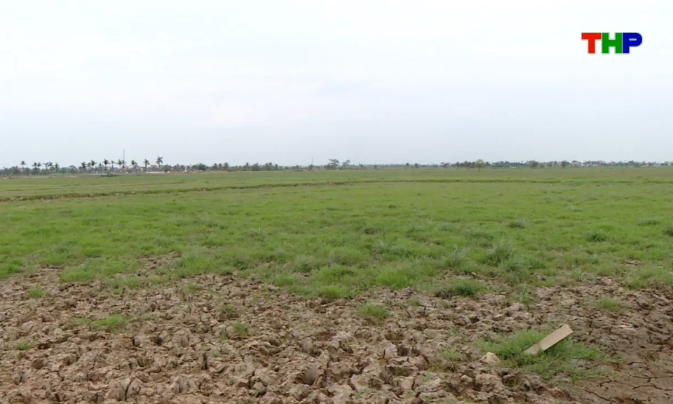 Hộp thư truyền h&igrave;nh: L&agrave;m r&otilde; nguồn gốc, diện t&iacute;ch khi thu hồi đất n&ocirc;ng nghiệp ở x&atilde; Ti&ecirc;n Minh