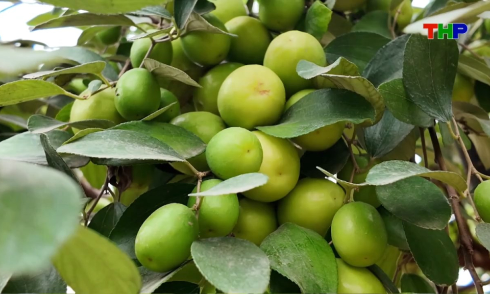 Bản tin thời sự s&aacute;ng (18/04/2026)